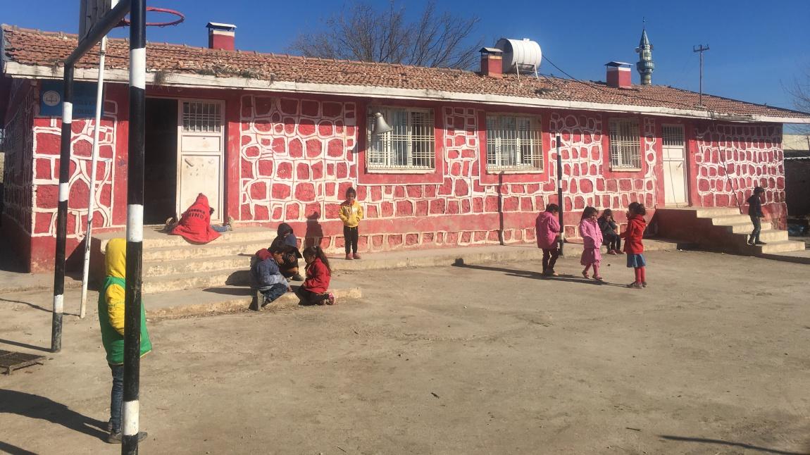 Türkoğlu İlkokulu Fotoğrafı